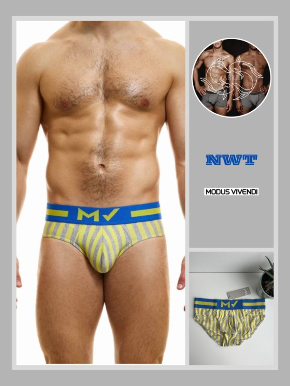 Modus Vivendi - X-Retro Brief - Yellow / Blue (L)